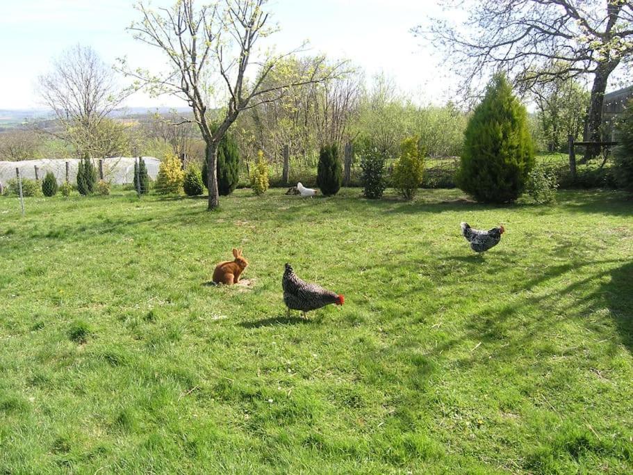 Les Jardins Des 3 Provinces- Gite Montcharvot Екстериор снимка