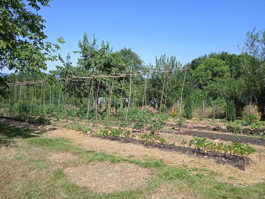 Les Jardins Des 3 Provinces- Gite Montcharvot Екстериор снимка