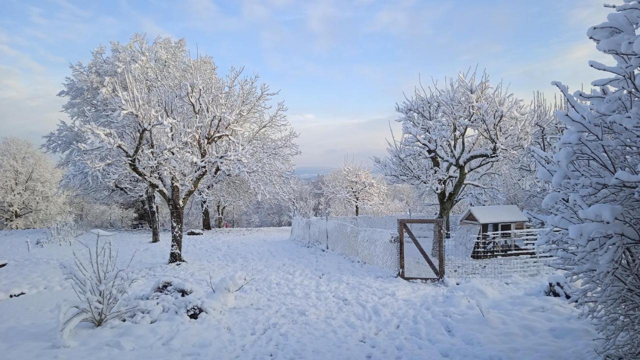 Les Jardins Des 3 Provinces- Gite Montcharvot Екстериор снимка